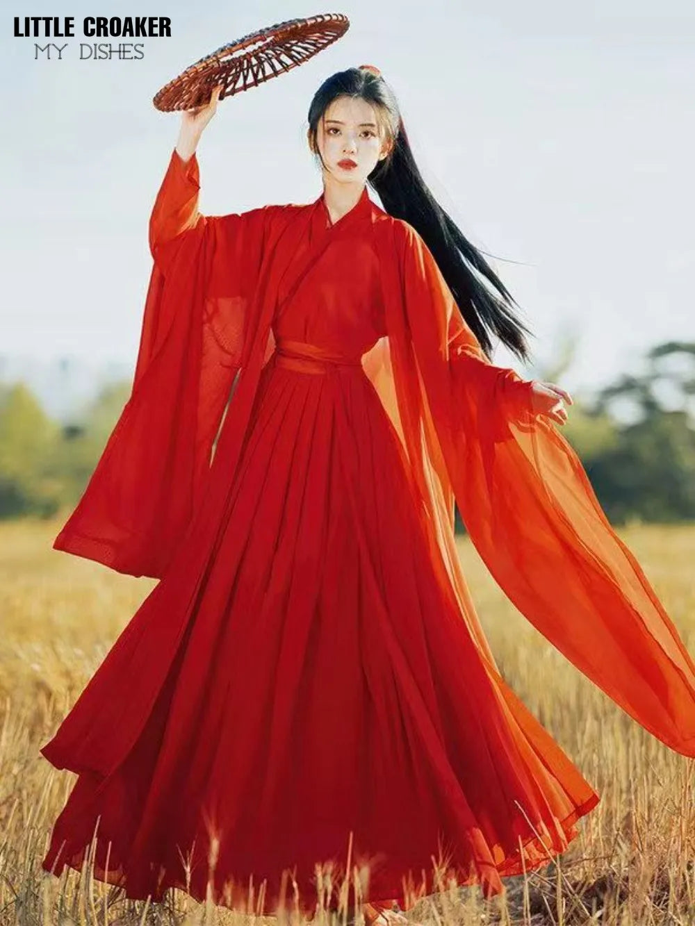 Chinese Traditional Folk Dance Costume Women